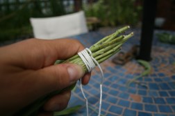 Wrap the ends of the sage